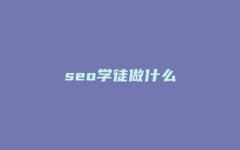 seo学徒做什么