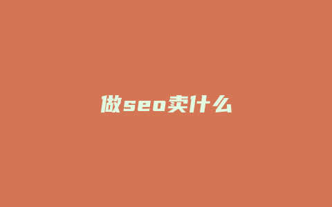 做seo卖什么