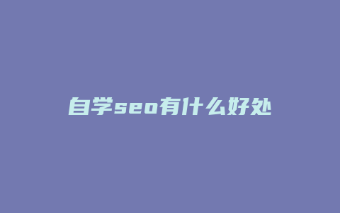 自学seo有什么好处