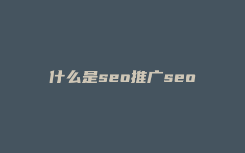 什么是seo推广seo