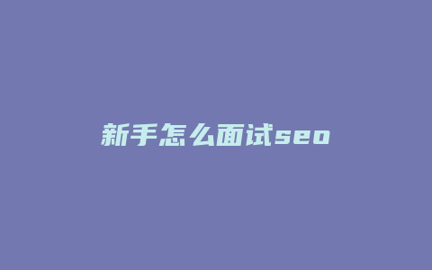 新手怎么面试seo