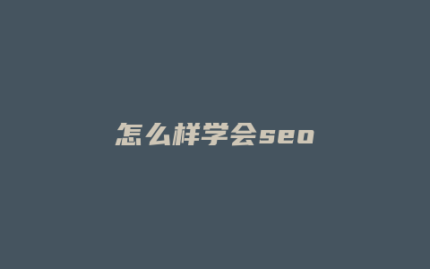怎么样学会seo