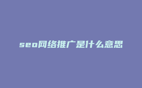 seo网络推广是什么意思