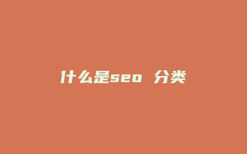 什么是seo 分类