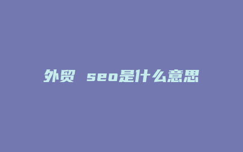 外贸 seo是什么意思