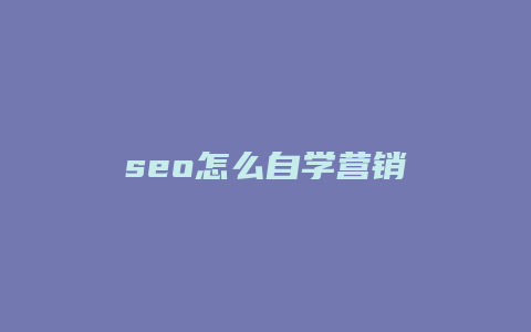 seo怎么自学营销