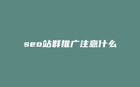 seo站群推广注意什么