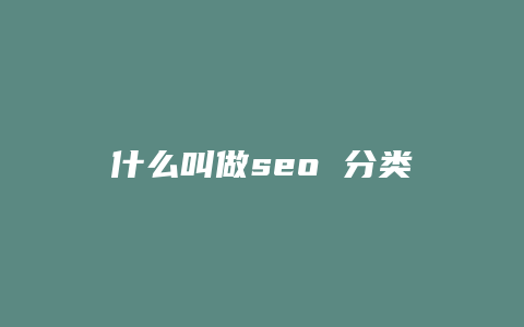 什么叫做seo 分类