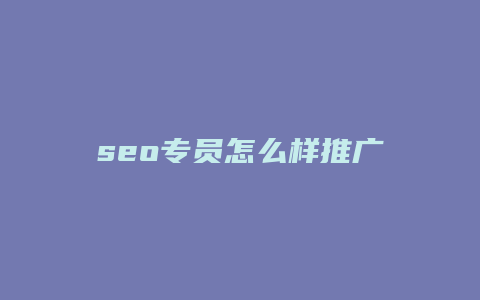 seo专员怎么样推广