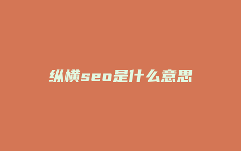 纵横seo是什么意思
