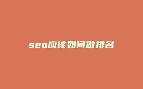 seo应该如何做排名