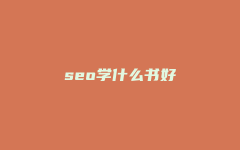 seo学什么书好