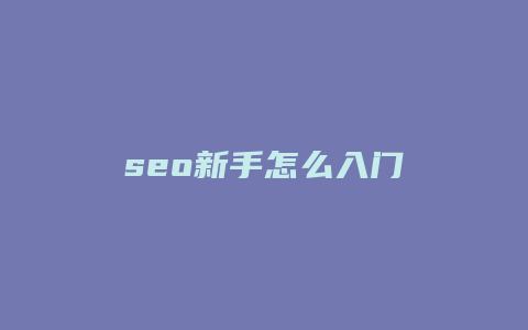 seo新手怎么入门