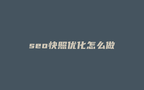 seo快照优化怎么做