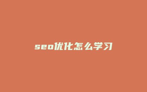 seo优化怎么学习