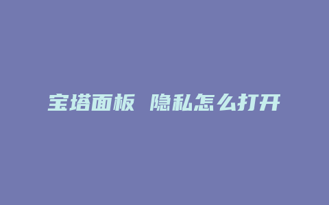 宝塔面板 隐私怎么打开