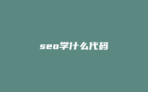 seo学什么代码