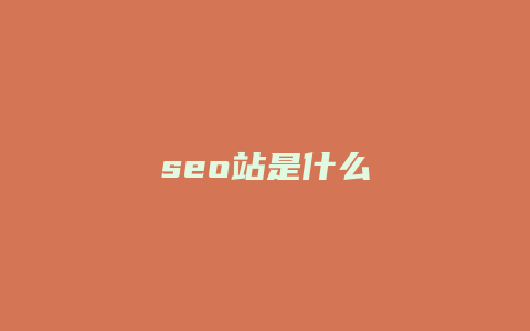 seo站是什么