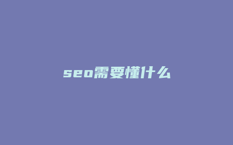 seo需要懂什么