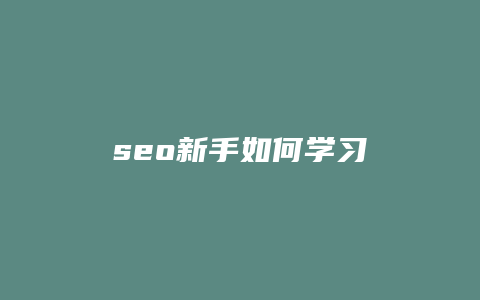 seo新手如何学习