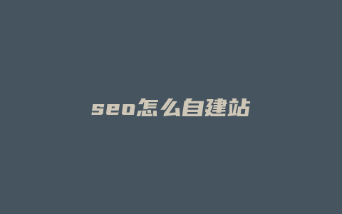 seo怎么自建站