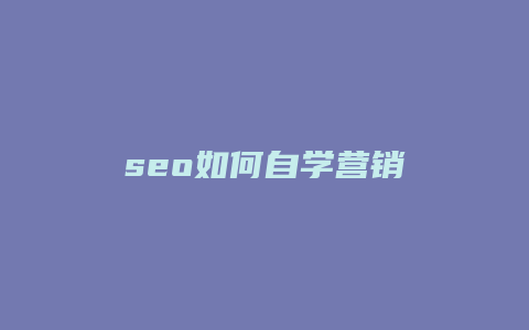 seo如何自学营销