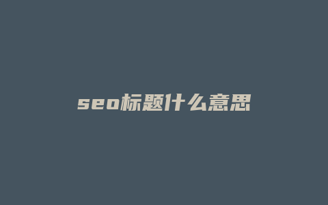 seo标题什么意思