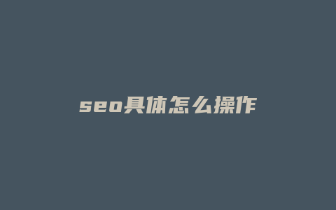 seo具体怎么操作