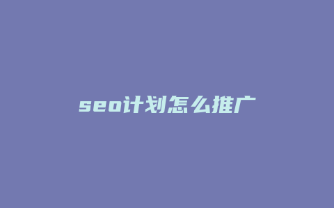 seo计划怎么推广