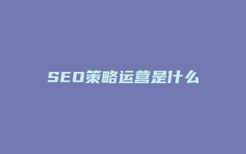 SEO策略运营是什么