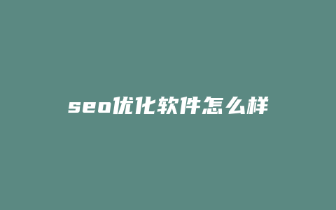 seo优化软件怎么样