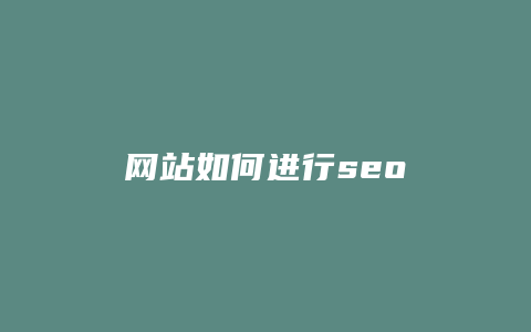 网站如何进行seo