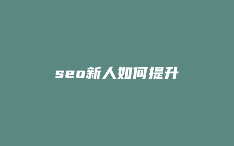 seo新人如何提升