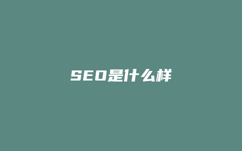 SEO是什么样