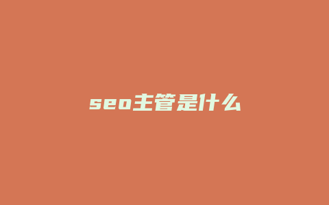 seo主管是什么