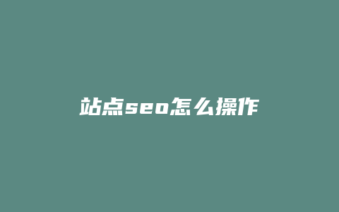 站点seo怎么操作