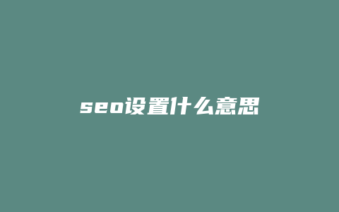 seo设置什么意思