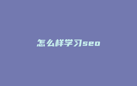 怎么样学习seo