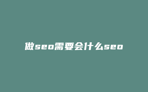 做seo需要会什么seo