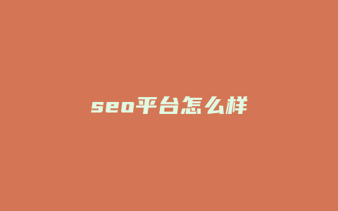 seo平台怎么样