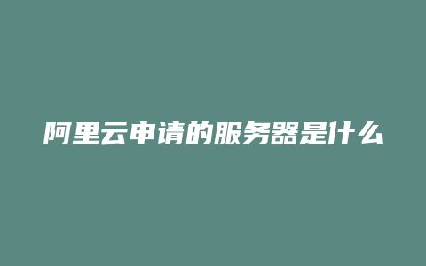 阿里云申请的服务器是什么