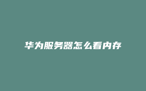 华为服务器怎么看内存