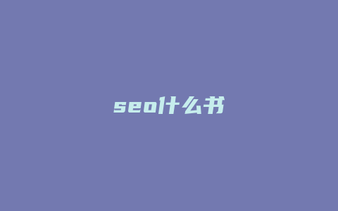 seo什么书