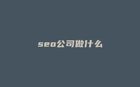 seo公司做什么
