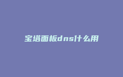 宝塔面板dns什么用