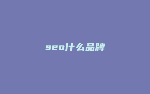 seo什么品牌