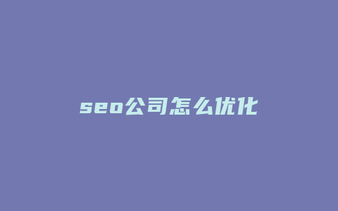 seo公司怎么优化