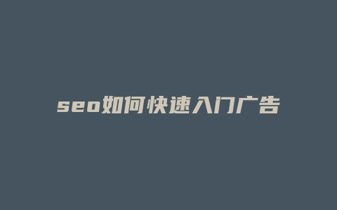 seo如何快速入门广告