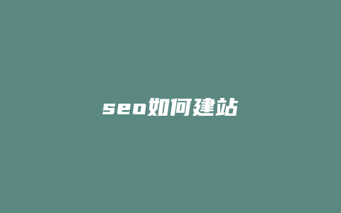 seo如何建站