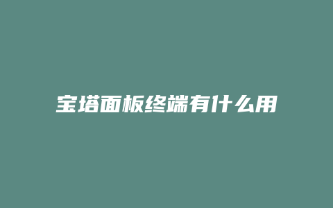 宝塔面板终端有什么用
